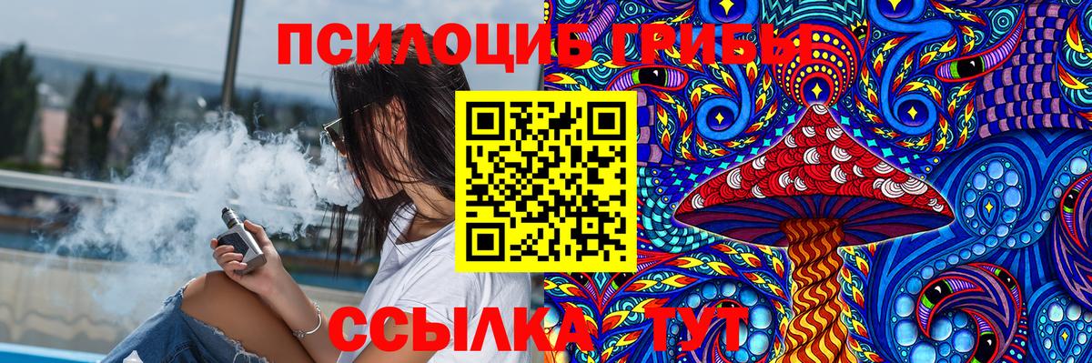 Галлюциногенные грибы прущие грибы  Псилоцибиновые грибы мицелий  Вход с VPN  Елизово 