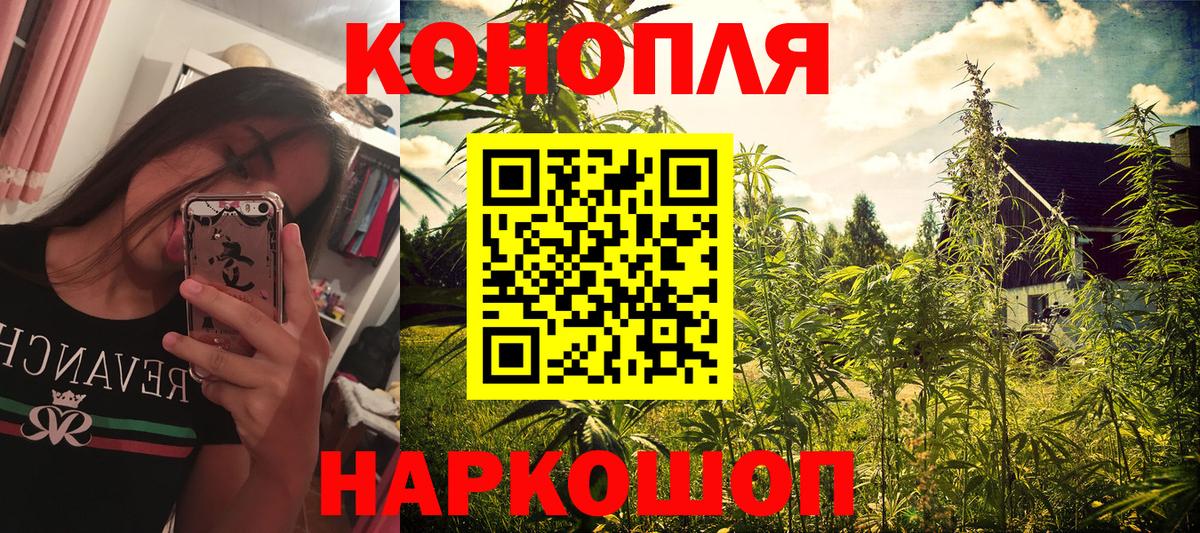 Канабис план Елизово